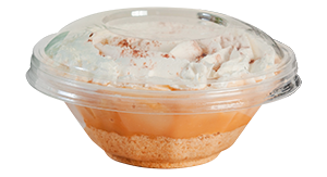 Pote plastico de sobremesa 250 ml P680 prafesta caixa com 240 unidades