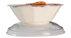 Pote plastico de sobremesa 500 ml P681 prafesta caixa com 240 unidades