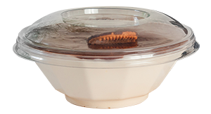 Product gallery 26177